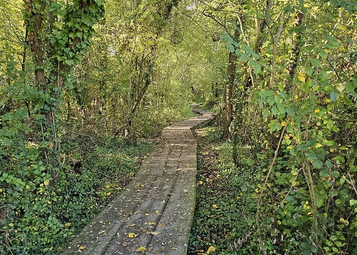 Villa-audemer - Romance Proche Honfleur Appartement